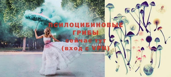 дурь Алексеевка