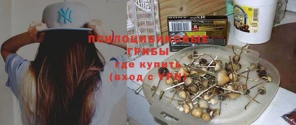 дурь Алексеевка