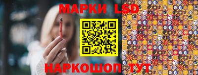 дмт Краснодар