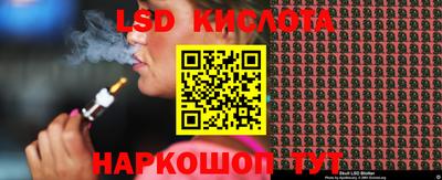 дмт Краснодар