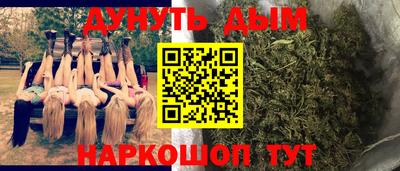 гидропоника Краснознаменск