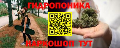 гидропоника Краснознаменск