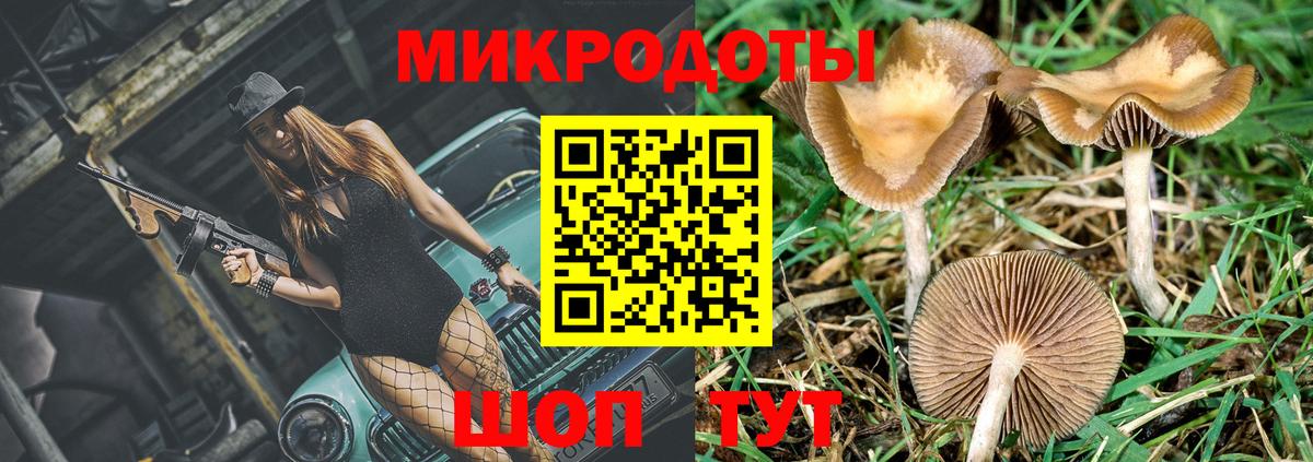 Галлюциногенные грибы Magic Shrooms  Псилоцибиновые грибы Psilocybe  Вход с VPN  купить наркоту  Копейск 