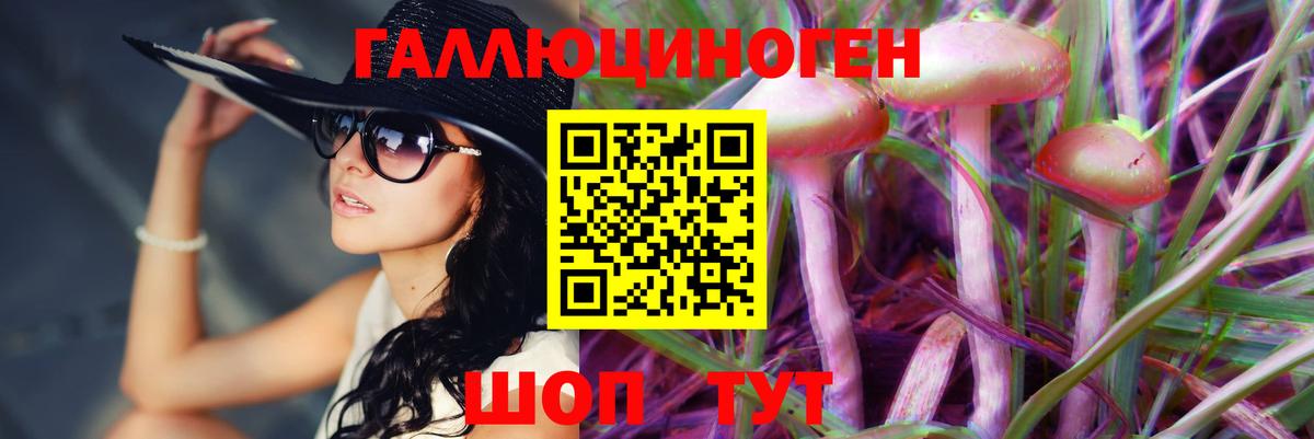 Галлюциногенные грибы GOLDEN TEACHER Копейск